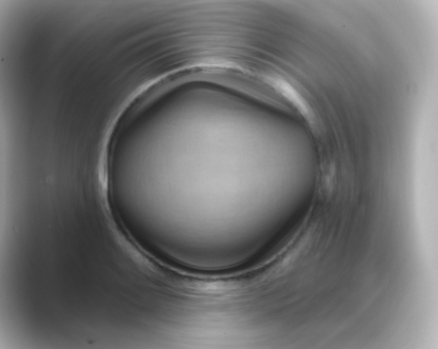 X0000088831084200706211810