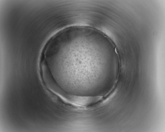 X0000088831085200706211810