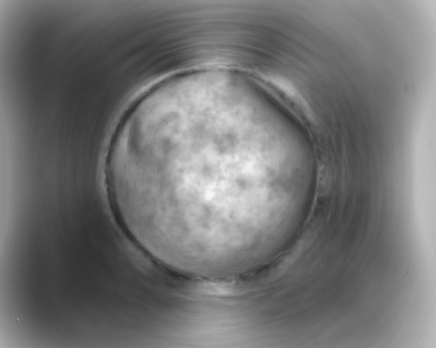 X0000088831086200706211810