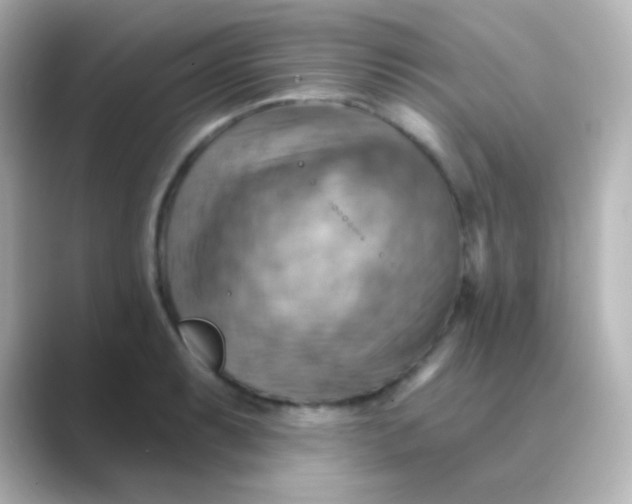 X0000088831087200706211810