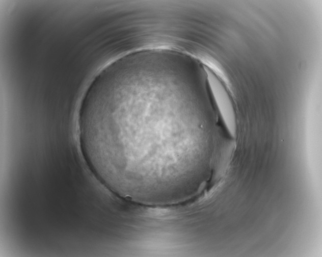 X0000088831088200706211810