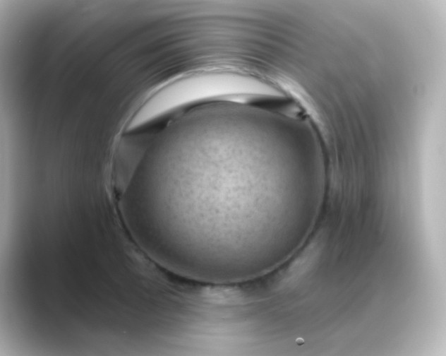 X0000088831089200706211810