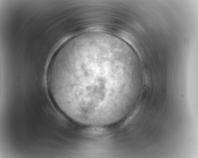 X0000088831090200706211810