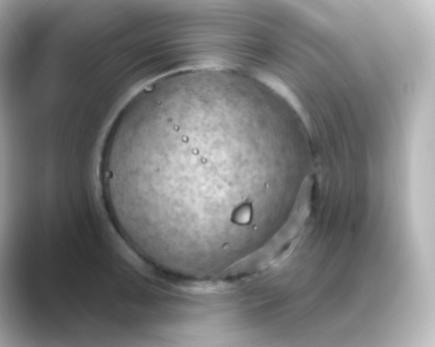 X0000088831091200706211810