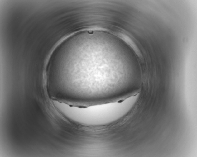 X0000088831092200706211810