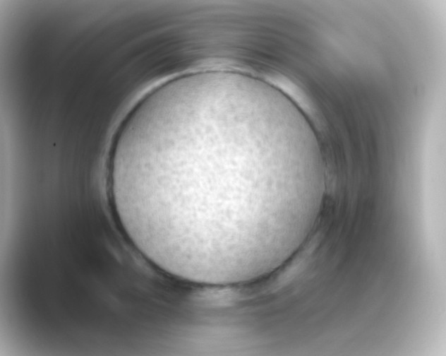 X0000088831094200706211810