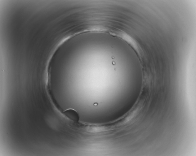 X0000088831095200706211810