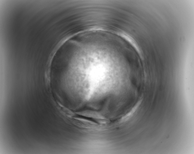 X0000088831097200706211810