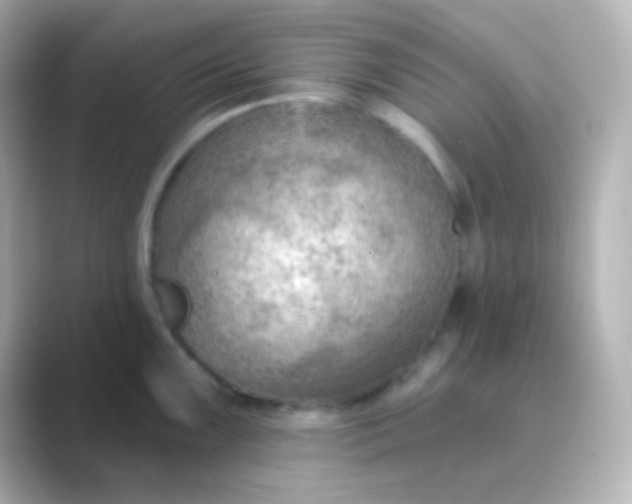 X0000088831099200706211810