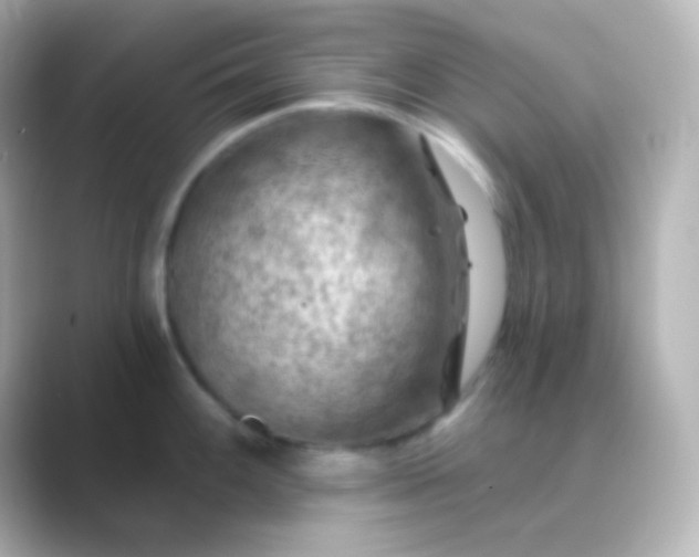 X0000088831100200706211810