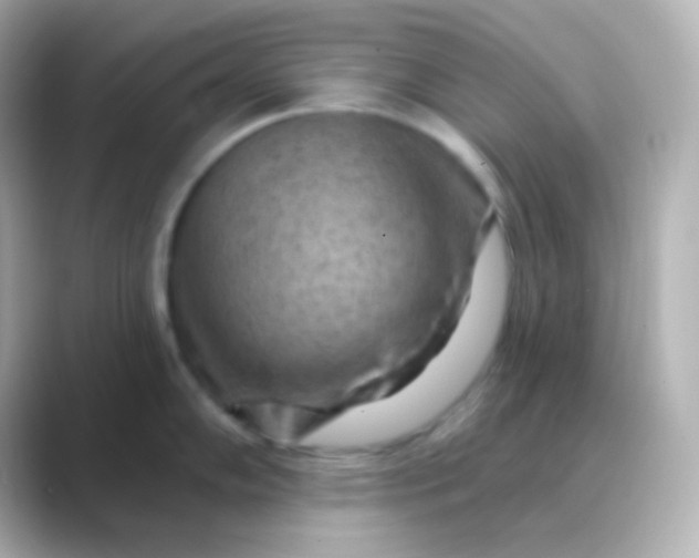 X0000088831102200706211810