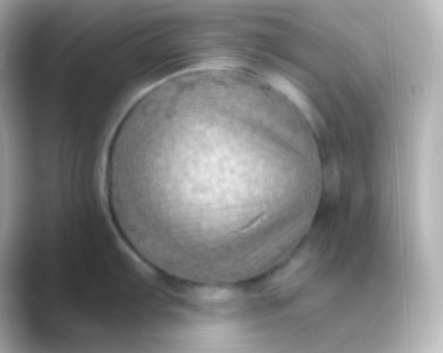 X0000088831103200706211810