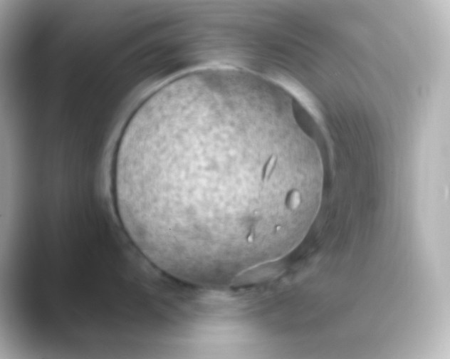 X0000088831104200706211810