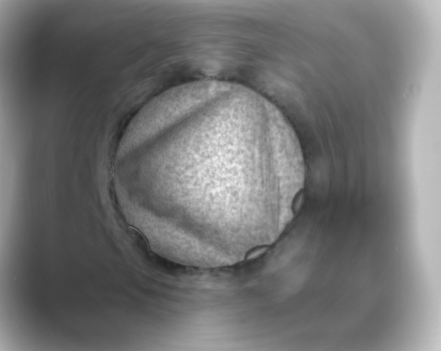 X0000088831105200706211810