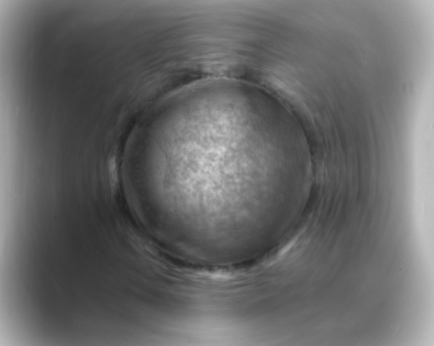 X0000088831106200706211810