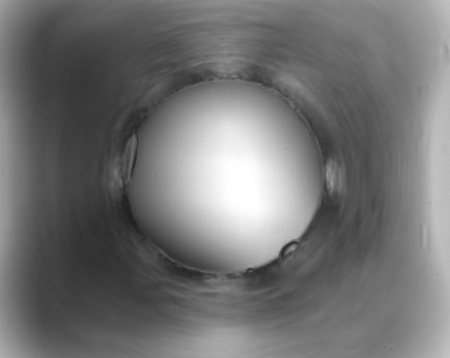 X0000088831107200706211810