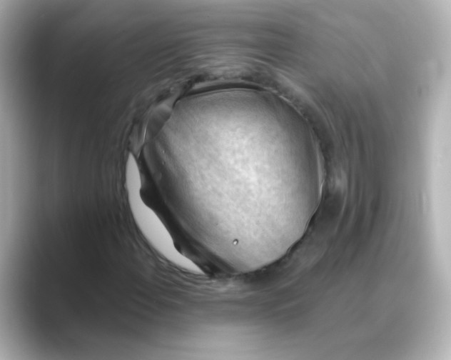 X0000088831108200706211810