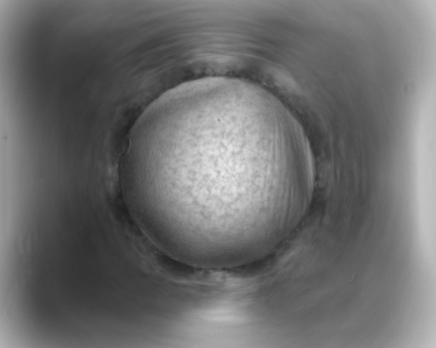 X0000088831109200706211810