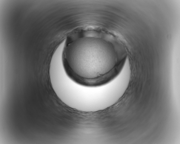 X0000088831110200706211810