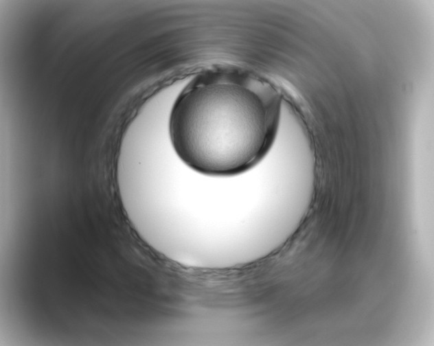 X0000088831112200706211810