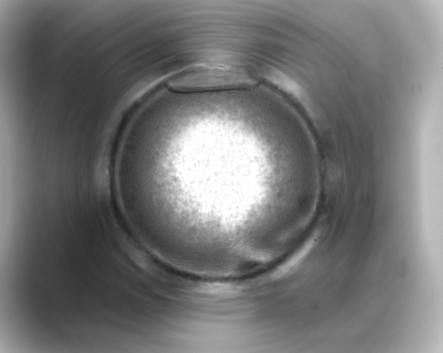 X0000088831114200706211810