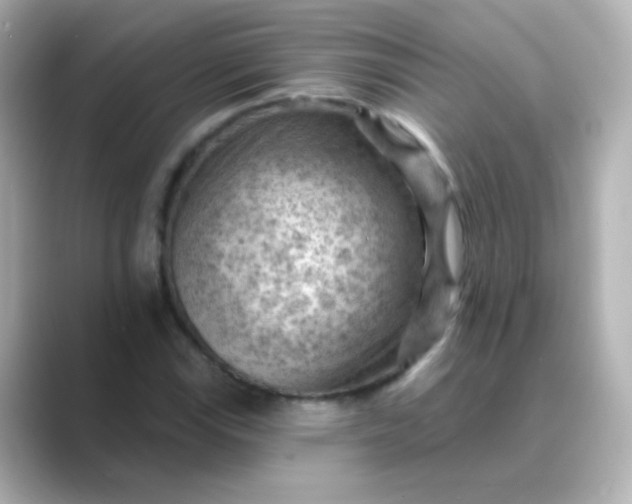 X0000088831115200706211810