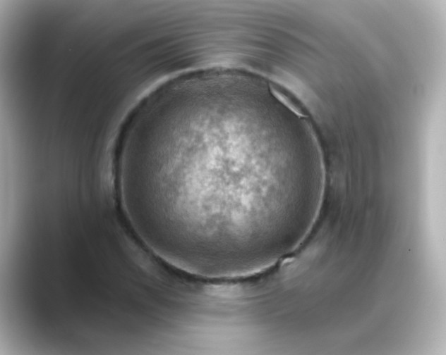 X0000088831118200706211810