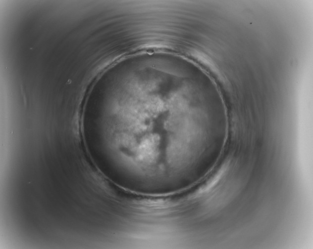 X0000088831121200706211810