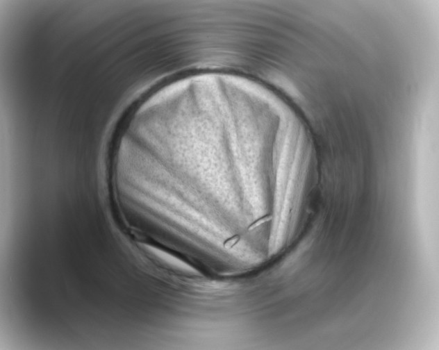 X0000088831122200706211810