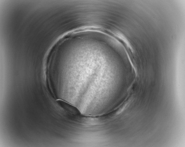 X0000088831124200706211810