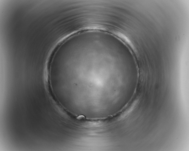 X0000088831125200706211810