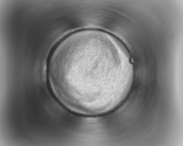 X0000088831126200706211810