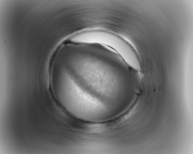 X0000088831127200706211810