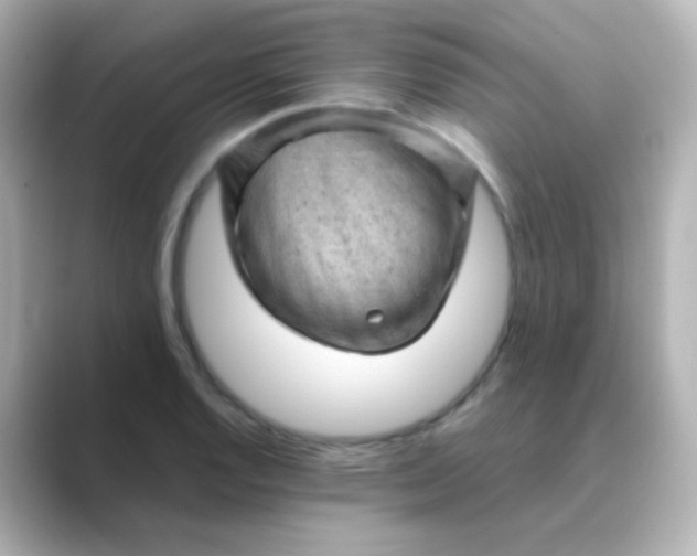 X0000088831128200706211810