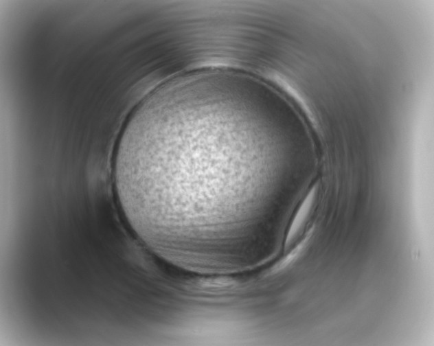 X0000088831129200706211810