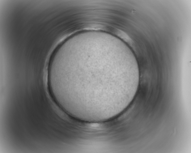 X0000088831130200706211810