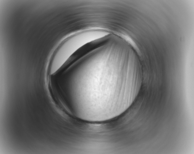 X0000088831132200706211810