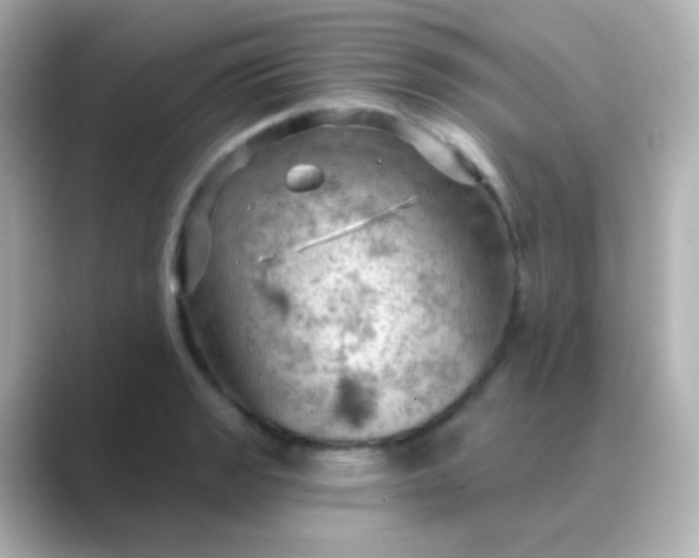 X0000088831133200706211810