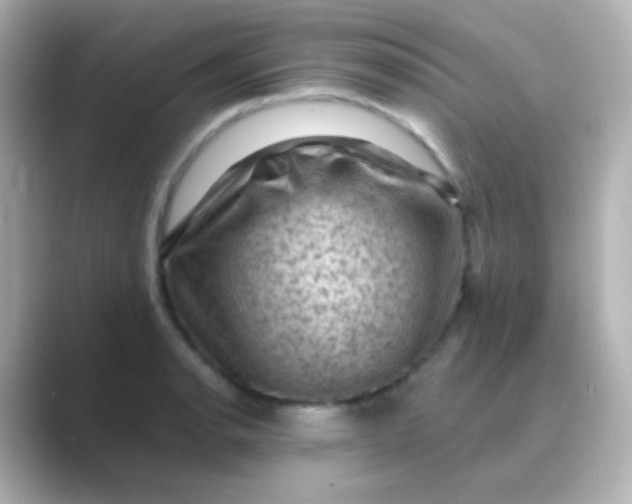 X0000088831134200706211810