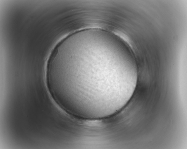 X0000088831135200706211810