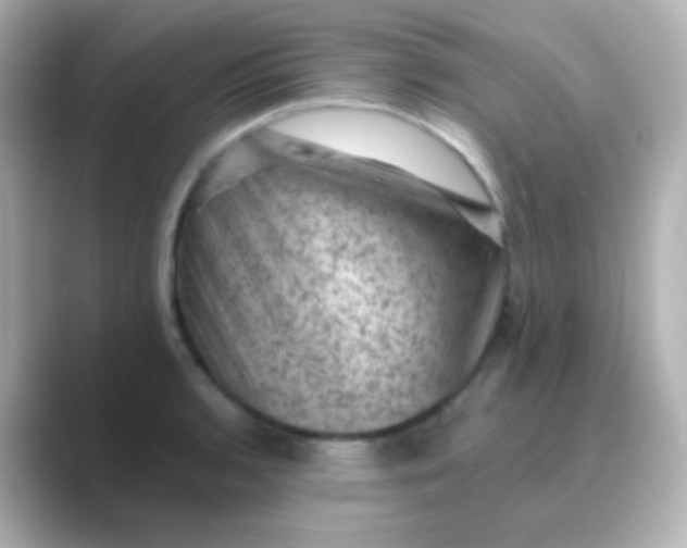 X0000088831136200706211810