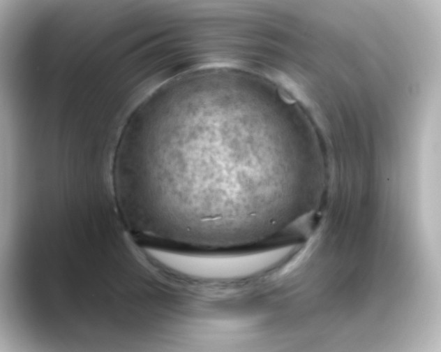 X0000088831137200706211810