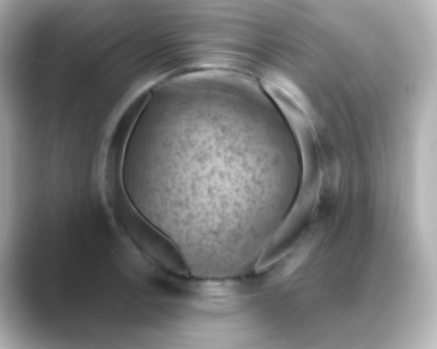 X0000088831138200706211810