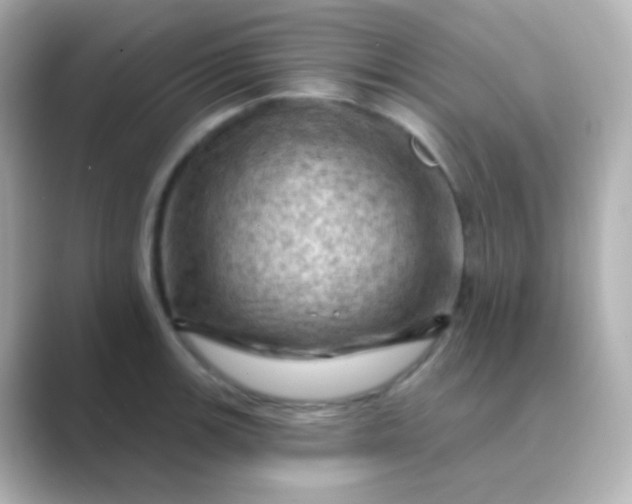 X0000088831139200706211810