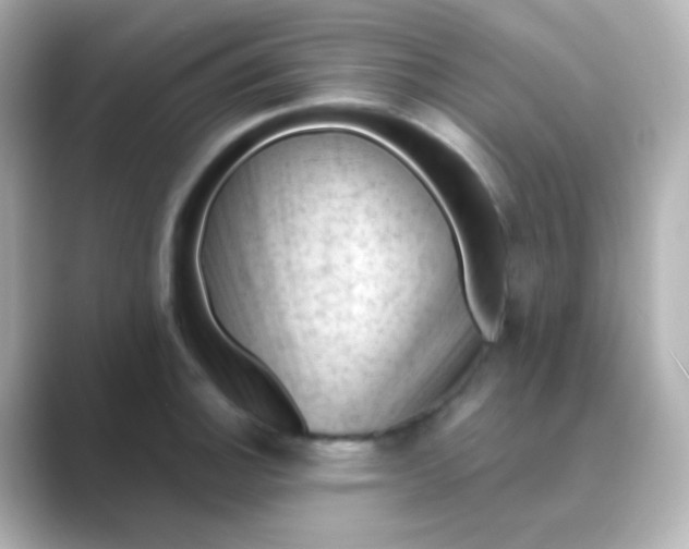 X0000088831140200706211810