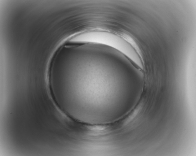 X0000088831141200706211810