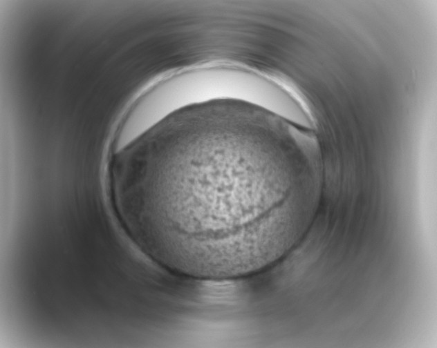 X0000088831142200706211810