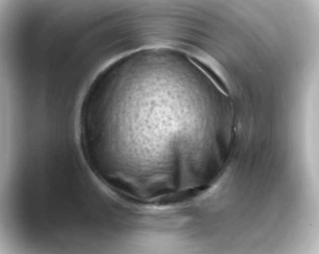 X0000088831143200706211810