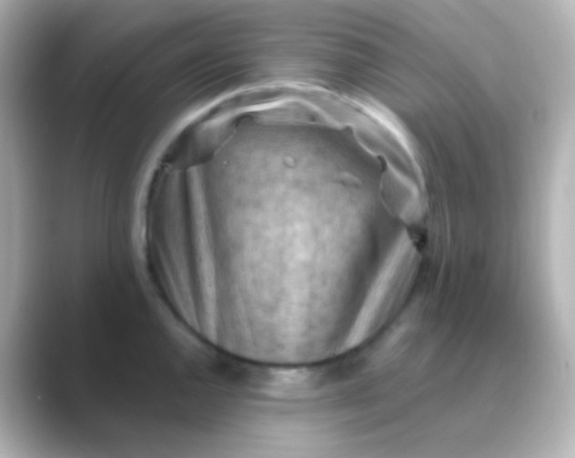 X0000088831144200706211810