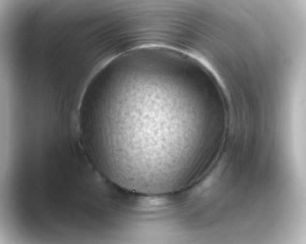 X0000088831145200706211810